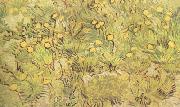 Vincent Van Gogh, A Field of Yellow Flowers (nn04)
